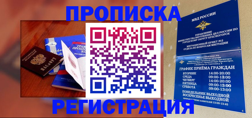 временная регистрация для школы в Камне-на-Оби